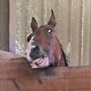 Meet your Posher, Hillary